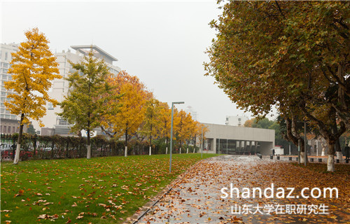 报考山东大学同等学力经济学硕士需要什么条件 报考山东大学同等学力经济学硕士需要什么条件